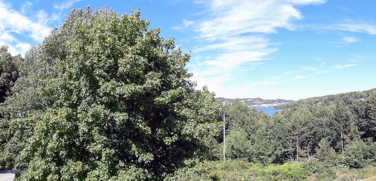 Tromoy Arendal Appartement Buitenkant foto